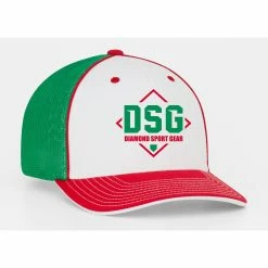 Champro Sports Sublimated Juice Package 2: JUICE2 -Easton shop DSG HATS xmas 26df5c7c f698 4b39 9d24 4c25d4d8c8b6